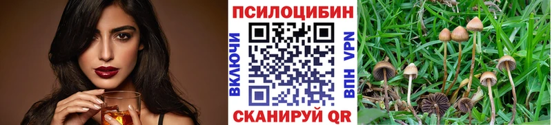 Галлюциногенные грибы Psilocybe Бузулук